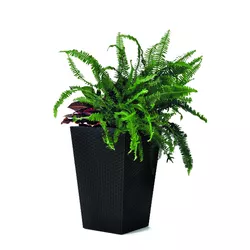 Recipient de ghiveci Ketter Rattan Planter, antracit, 23,6 l, 29 x 44 x 29 cm